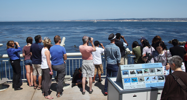 People stand on a viewing platform overlooking the ocean