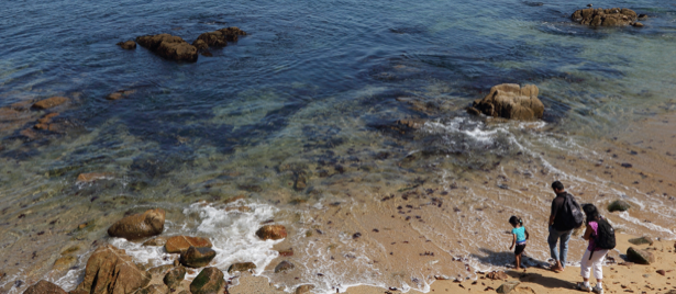 A family walks in the tide along a rocky beach