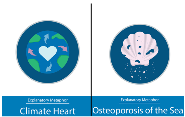 Climate Heart and Osteoporosis of the Sea Images
