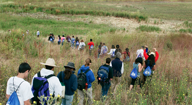 A group of people hike through a meadow