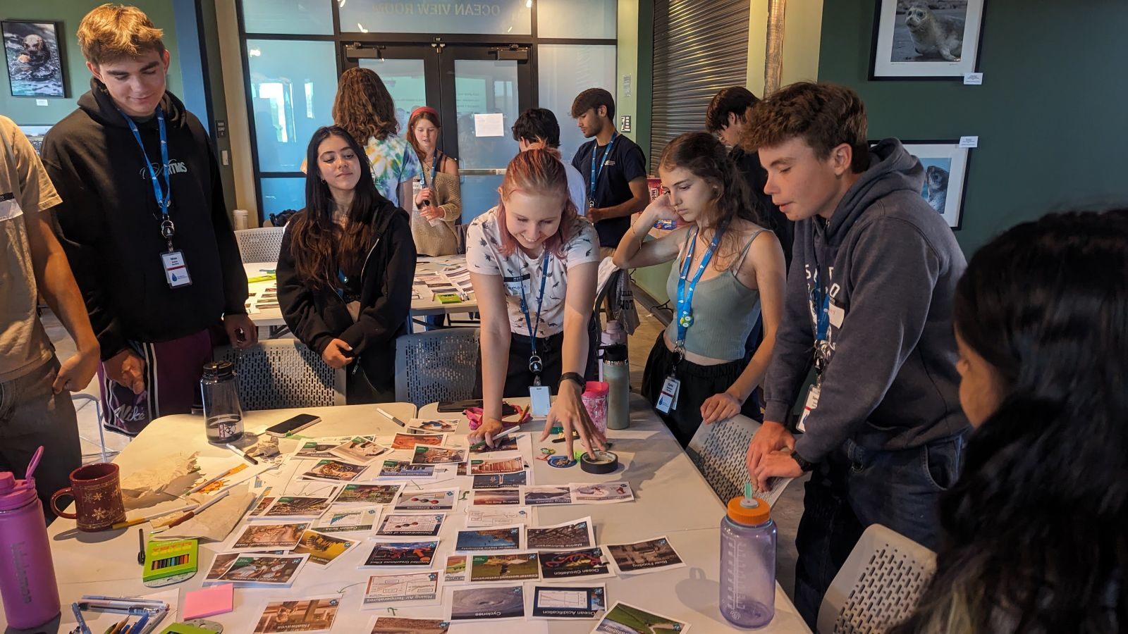 High school volunteers at The Marine Mammal Center