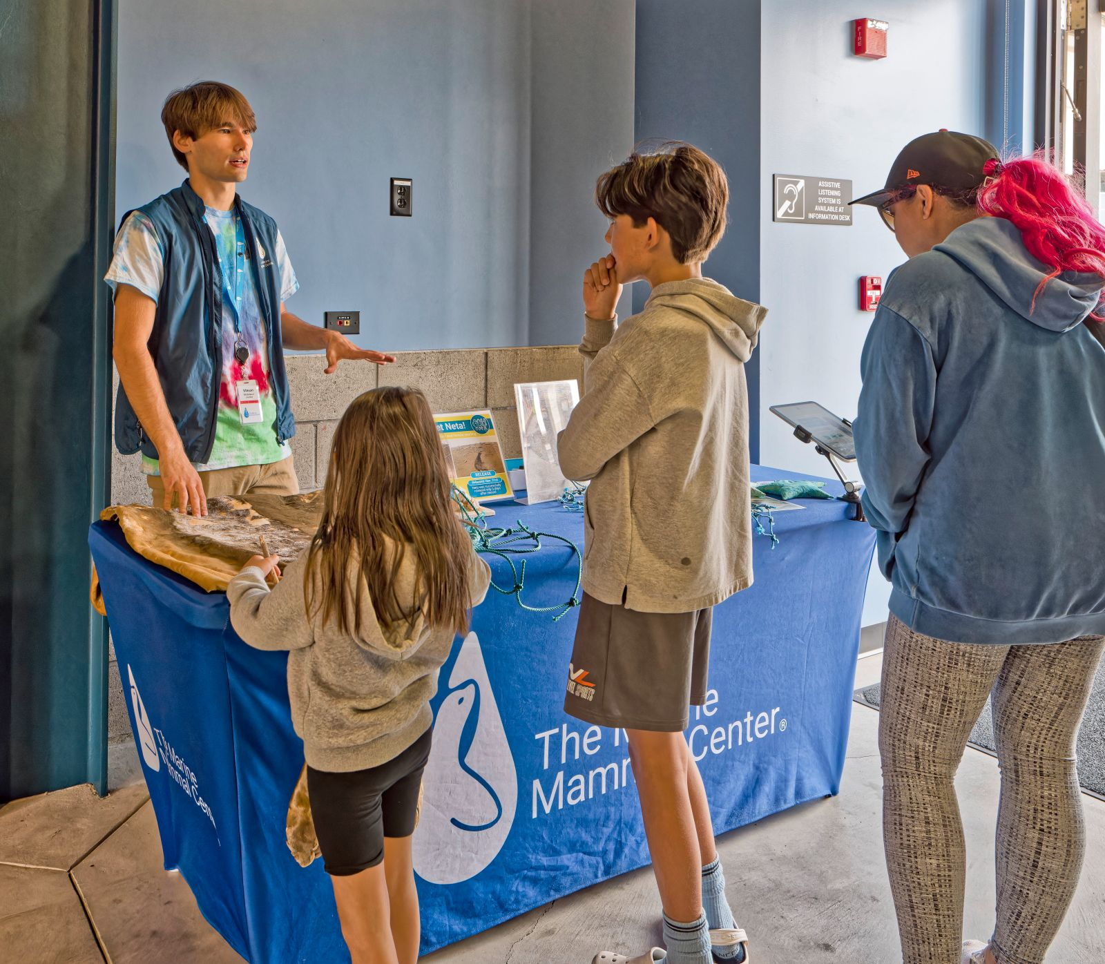 High school volunteers at The Marine Mammal Center