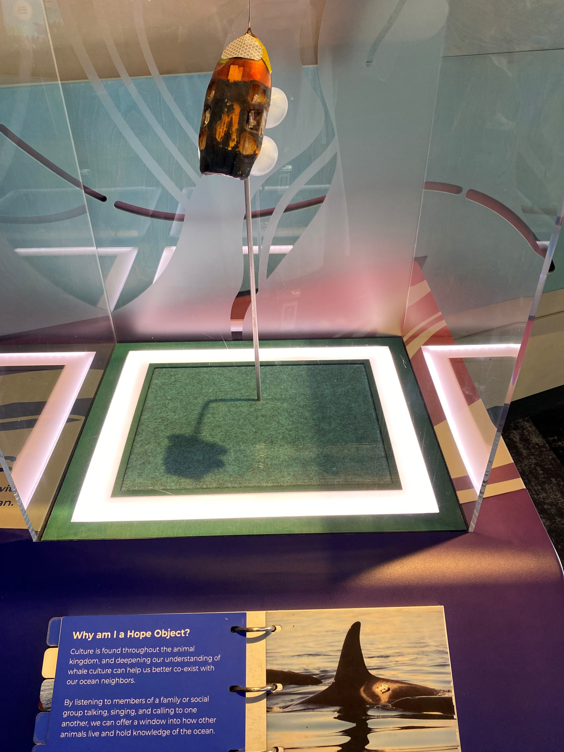 Seattle Aquarium DTAG Hope Object